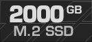 2000 GB M.2 SSD