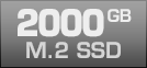 2000 GB M.2 SSD