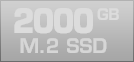2000 GB M.2 SSD