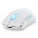 ASUS ROG Harpe Ace Aim Lab Edition Gaming Maus, weiß