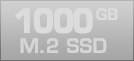 1000 GB M.2 SSD