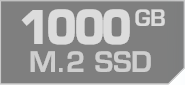 1000 GB M.2 SSD
