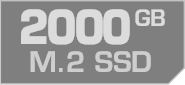 2000 GB M.2 SSD