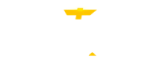 AUTO CHESS Logo