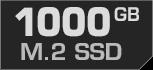 1000 GB M.2 SSD