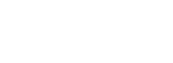 Bless Unleashed Logo