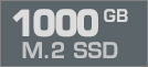 1000 GB M.2 SSD
