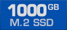 1000 GB M.2 SSD