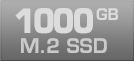 1000 GB M.2 SSD