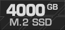 4000 GB M.2 SSD