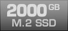 2000 GB M.2 SSD
