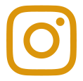 Insta Icon