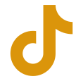 Tiktok Icon