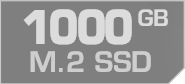 1000 GB M.2 SSD