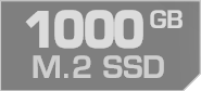 1000 GB M.2 PCIe SSD