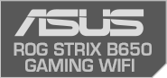 MSI Mainboard