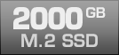 2000 GB M.2 SSD