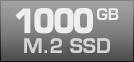 1000 GB M.2 SSD