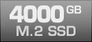 4000 GB M.2 SSD
